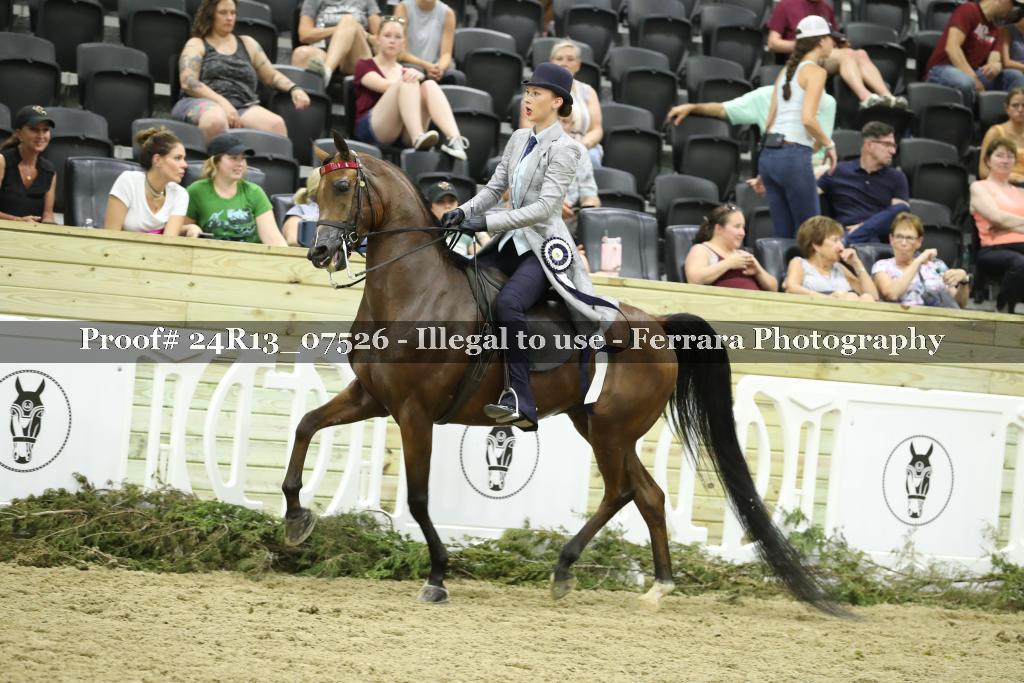 Proof 24R13_07526