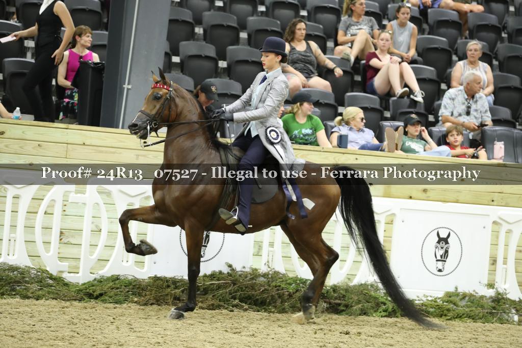 Proof 24R13_07527
