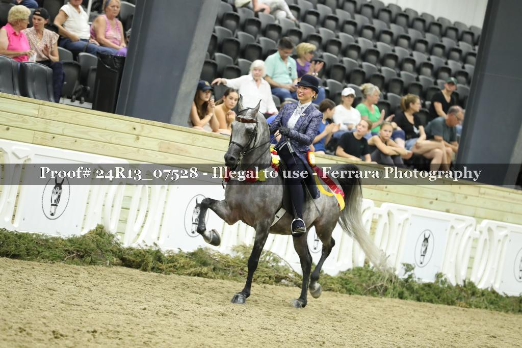 Proof 24R13_07528