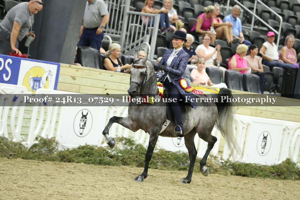 Proof 24R13_07529