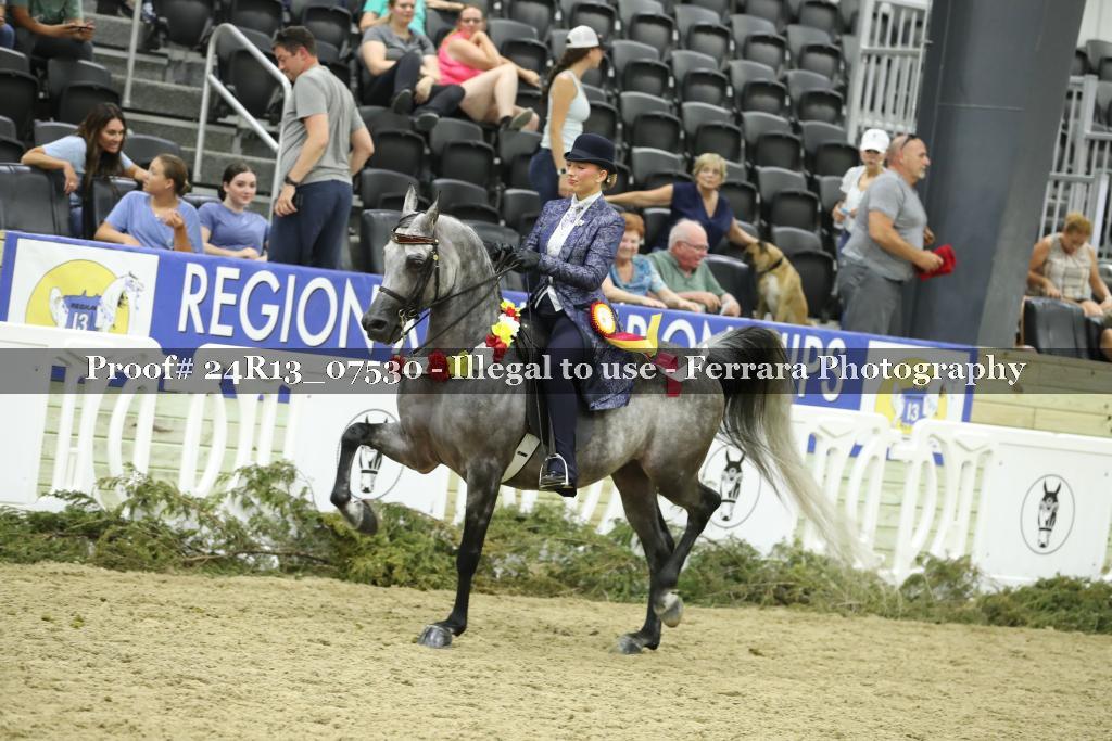 Proof 24R13_07530