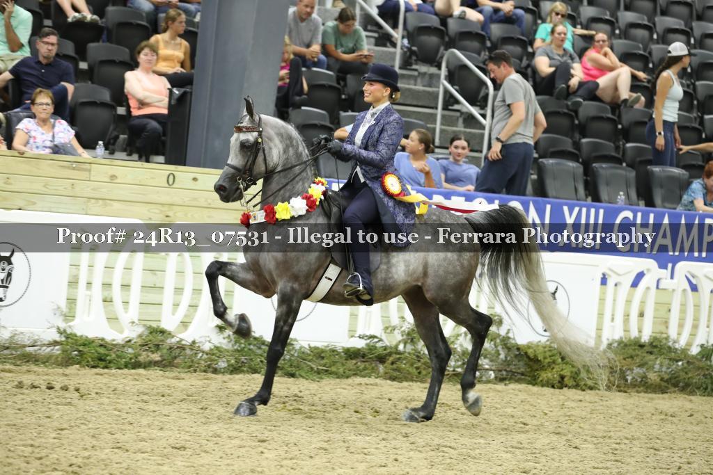 Proof 24R13_07531