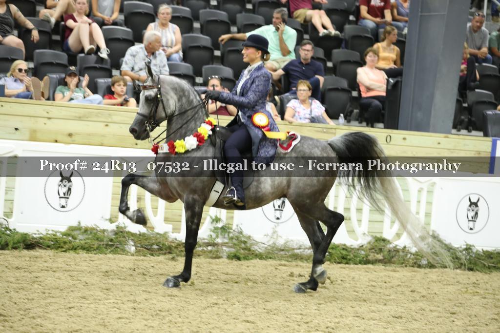 Proof 24R13_07532