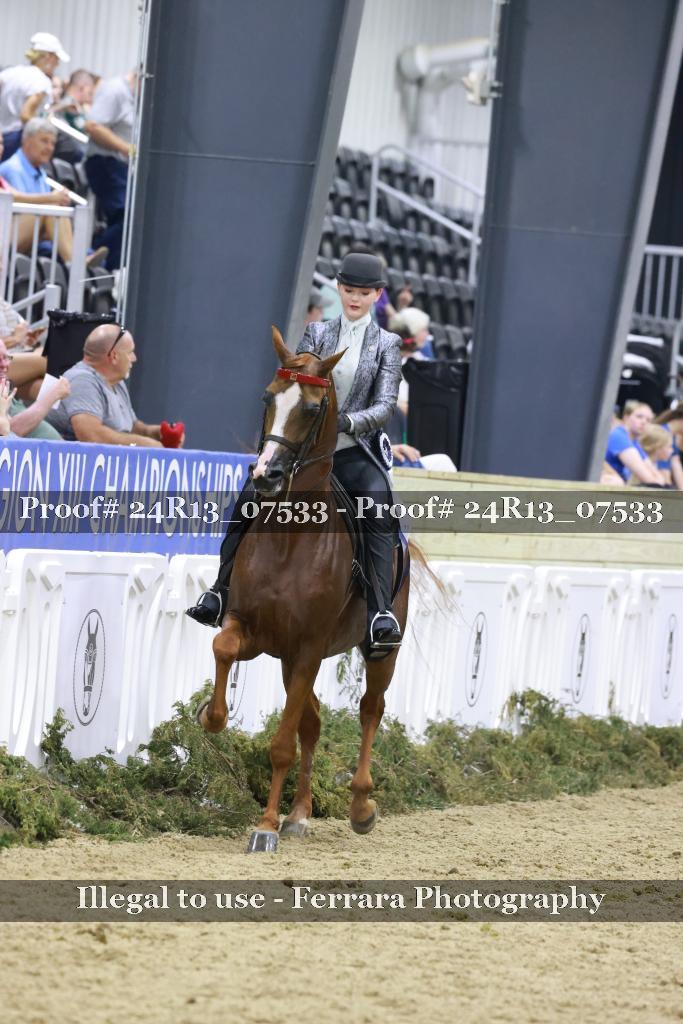 Proof 24R13_07533