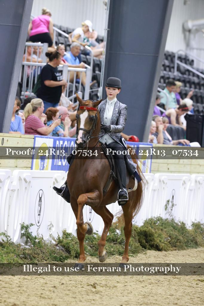 Proof 24R13_07534