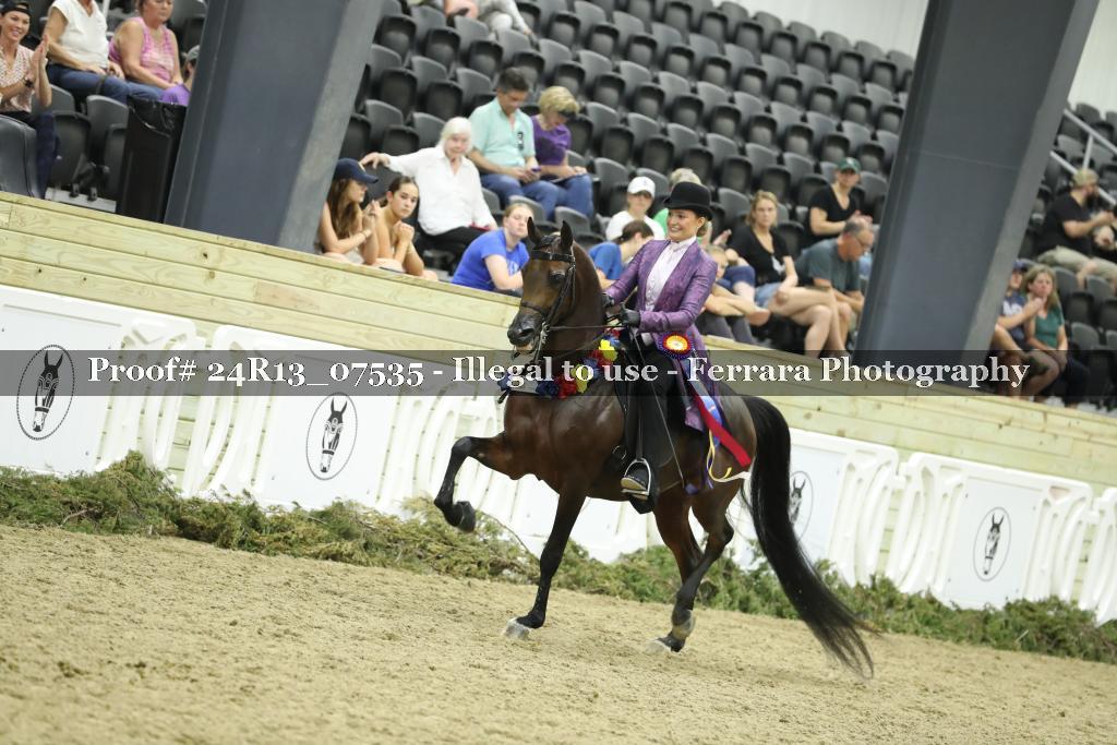 Proof 24R13_07535