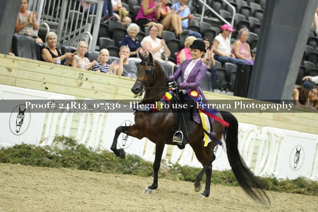 Proof 24R13_07536