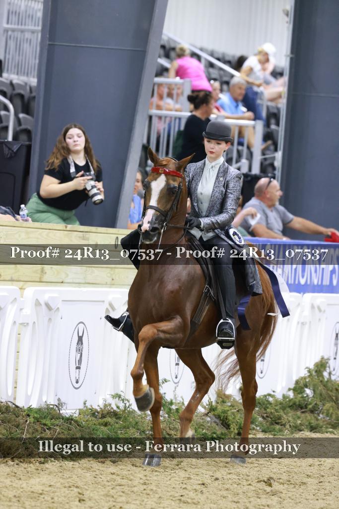 Proof 24R13_07537