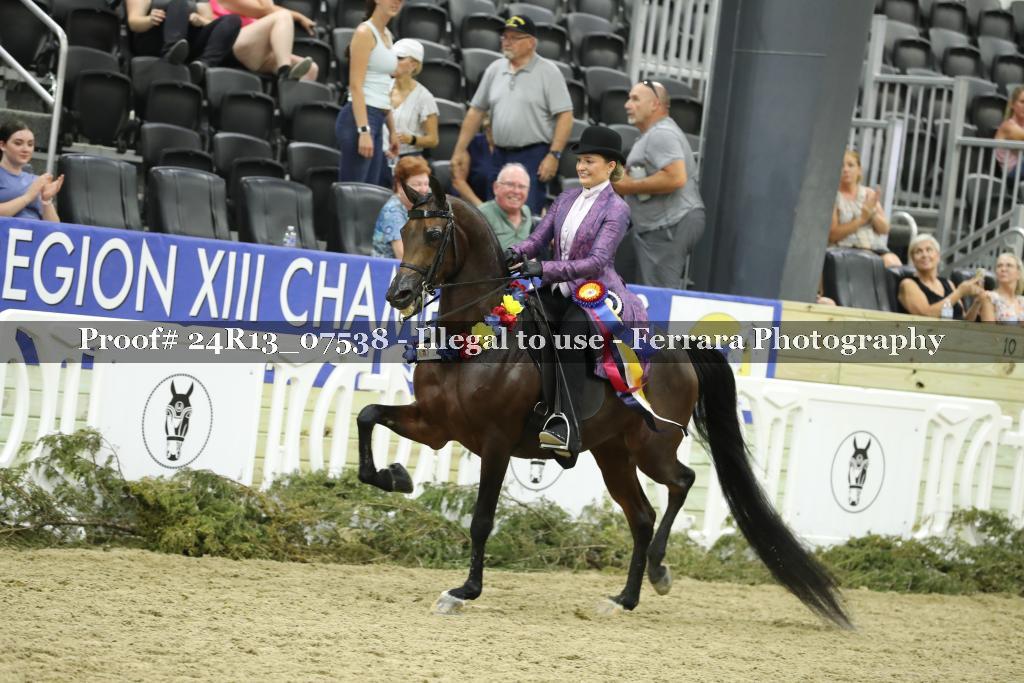 Proof 24R13_07538