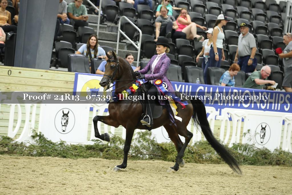 Proof 24R13_07539