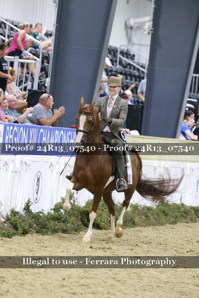 Proof 24R13_07540