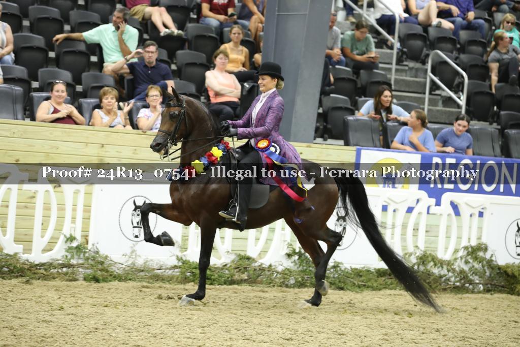 Proof 24R13_07541