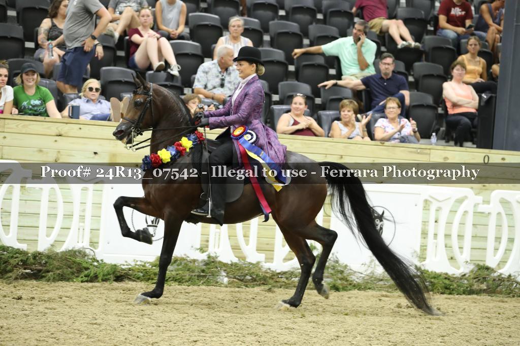 Proof 24R13_07542