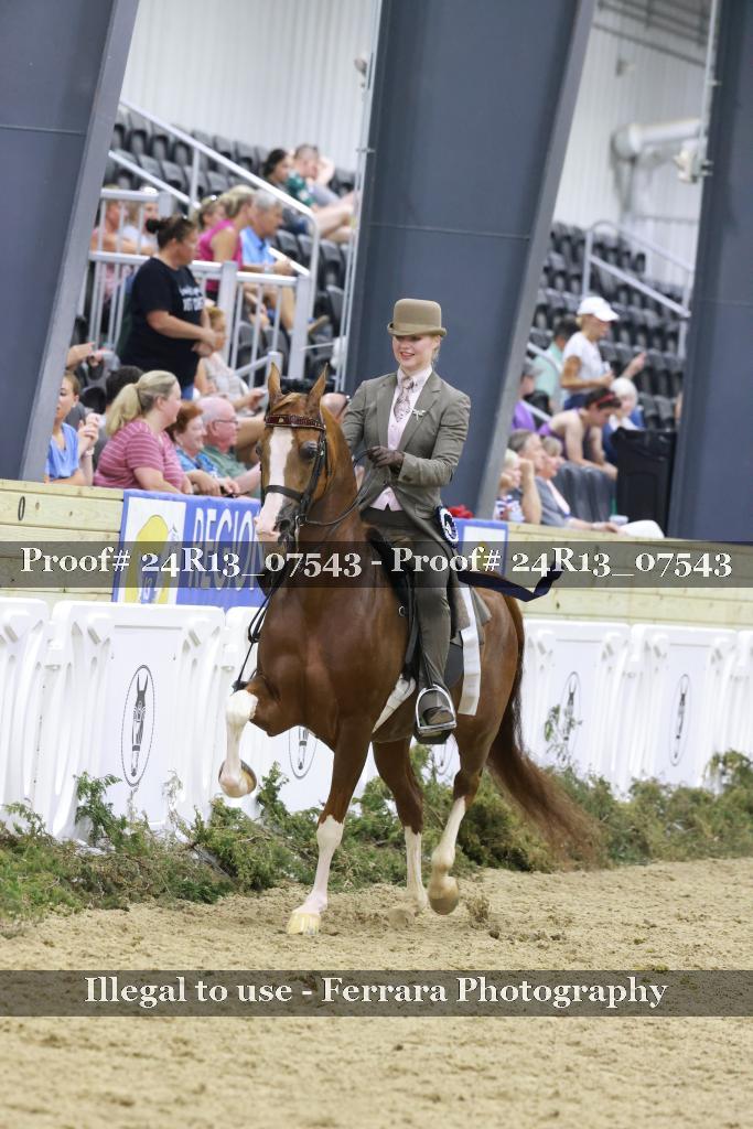 Proof 24R13_07543