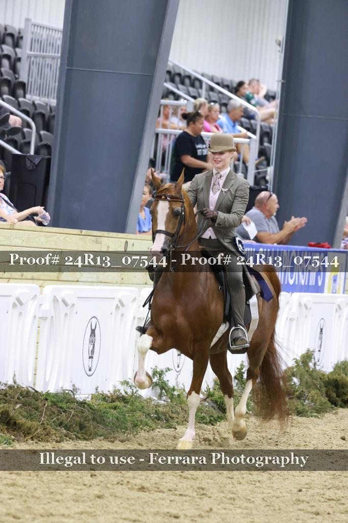 Proof 24R13_07544