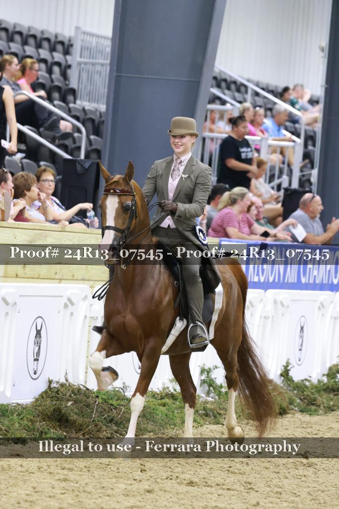 Proof 24R13_07545