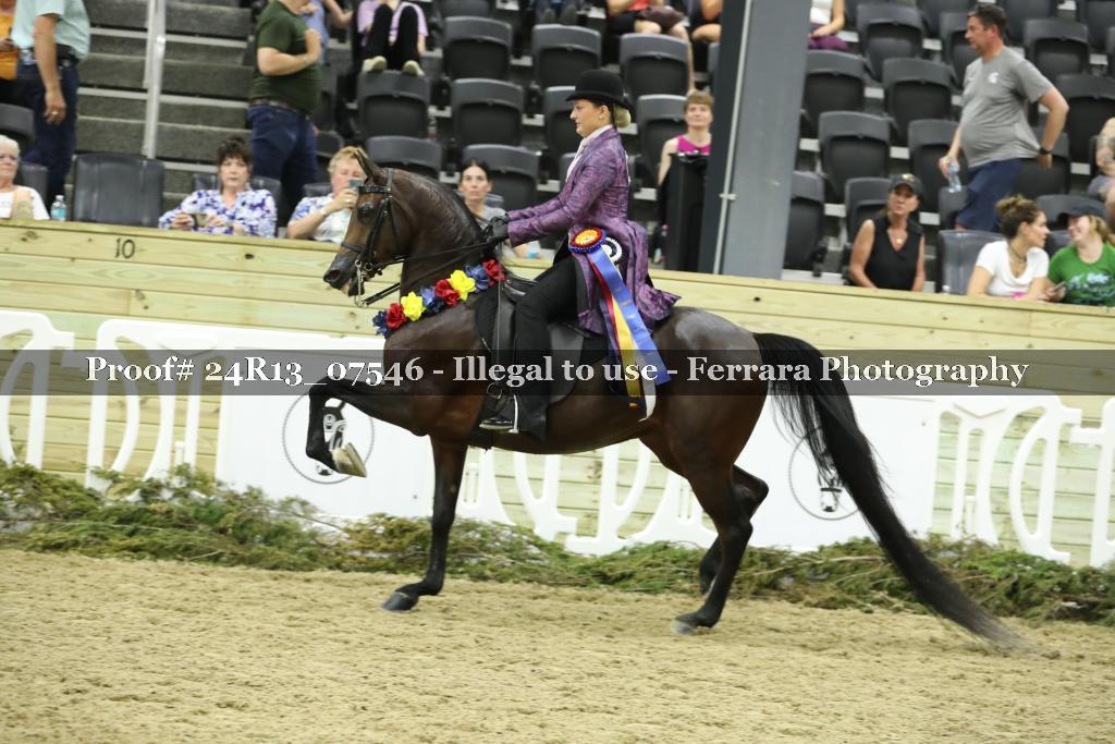 Proof 24R13_07546