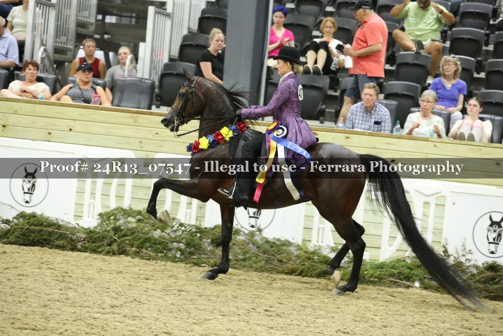 Proof 24R13_07547