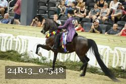 24R13_07548 proof