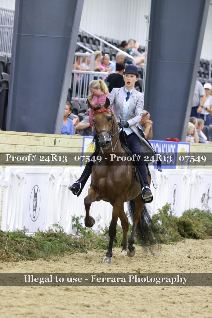 Proof 24R13_07549