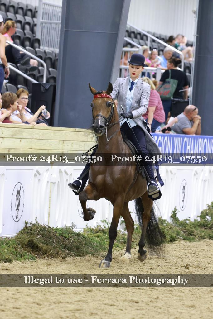 Proof 24R13_07550