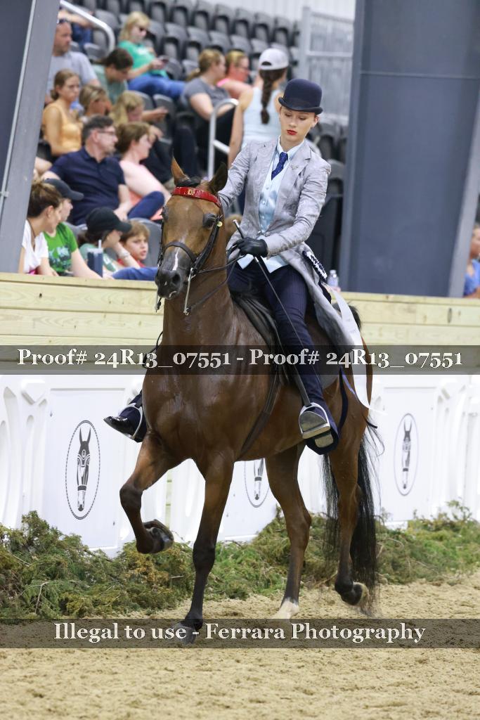 Proof 24R13_07551