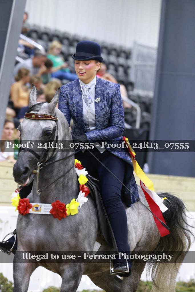 Proof 24R13_07555