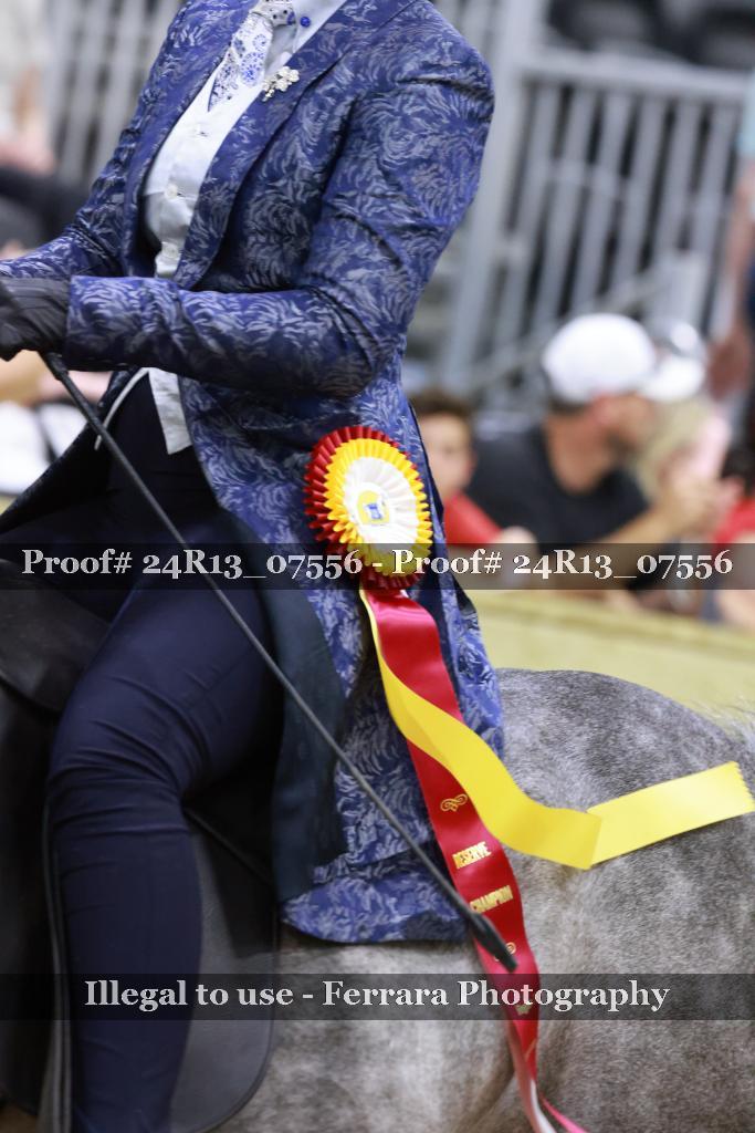 Proof 24R13_07556