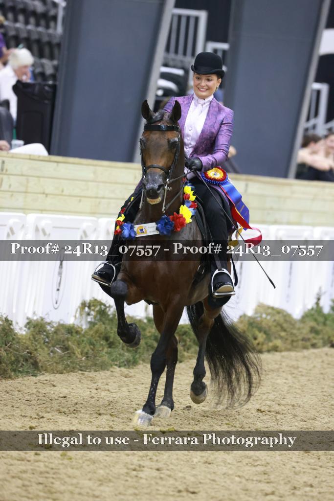 Proof 24R13_07557