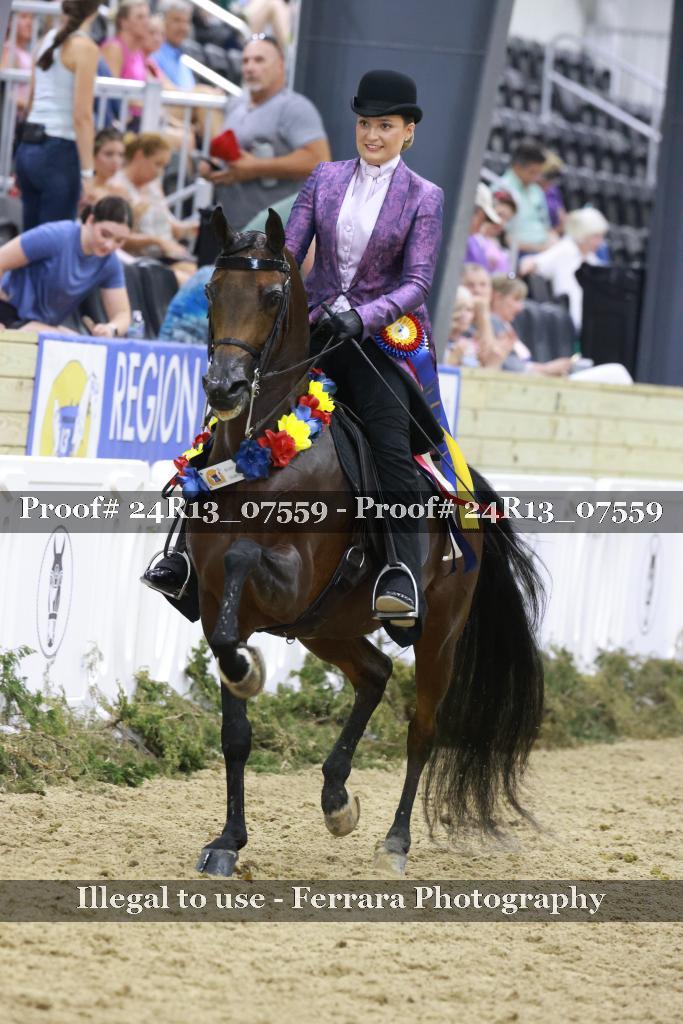 Proof 24R13_07559