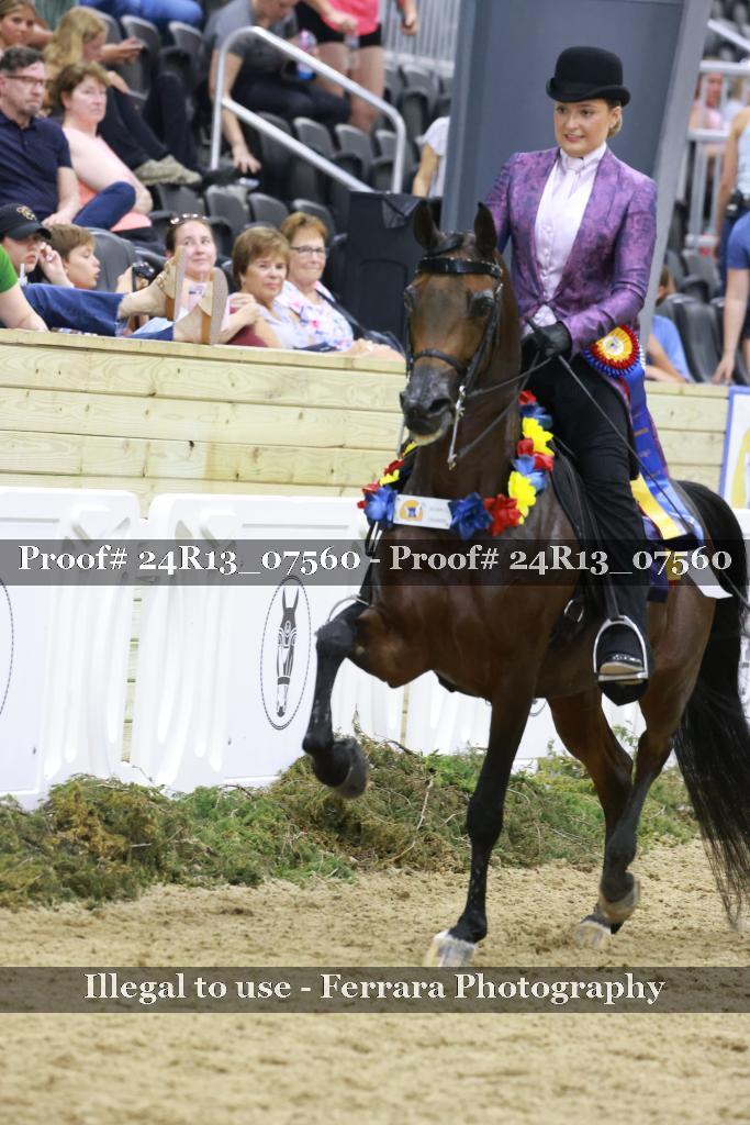 Proof 24R13_07560