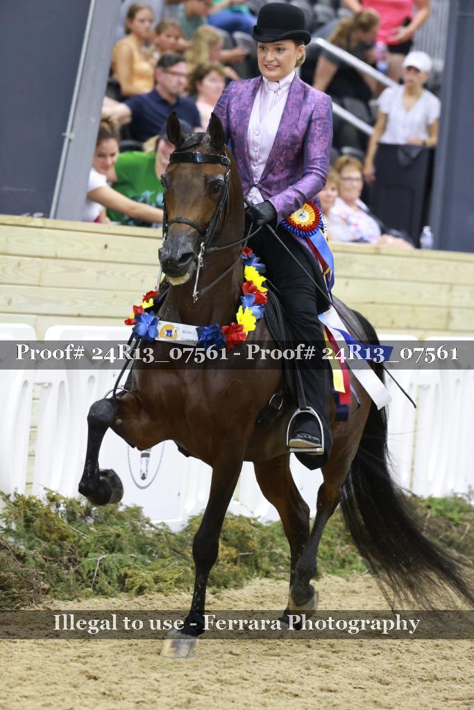 Proof 24R13_07561