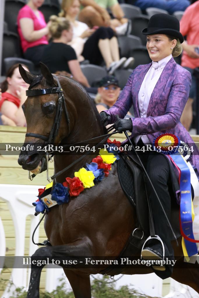 Proof 24R13_07564