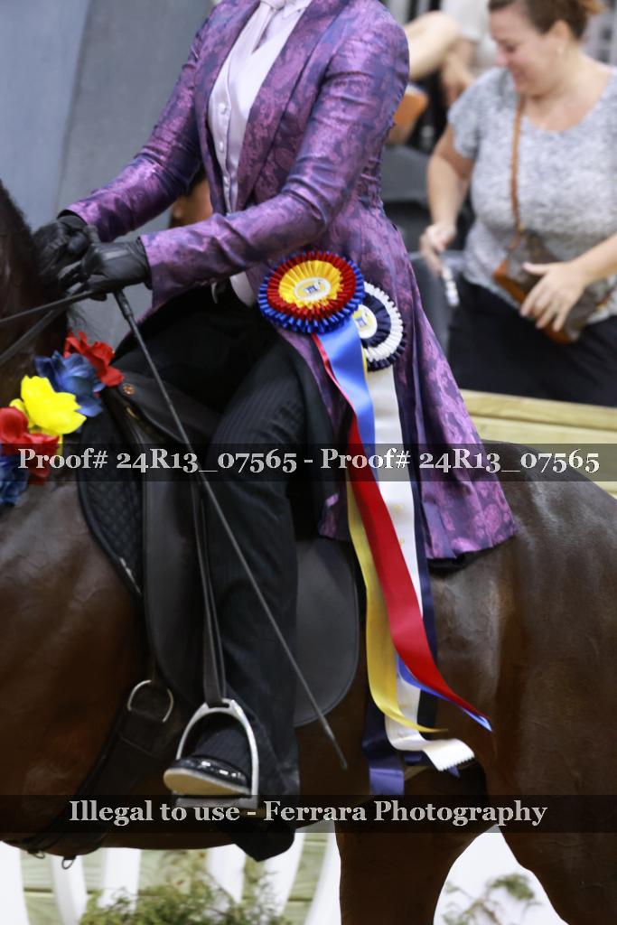 Proof 24R13_07565