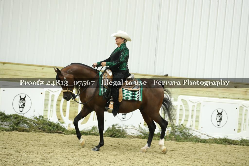 Proof 24R13_07567