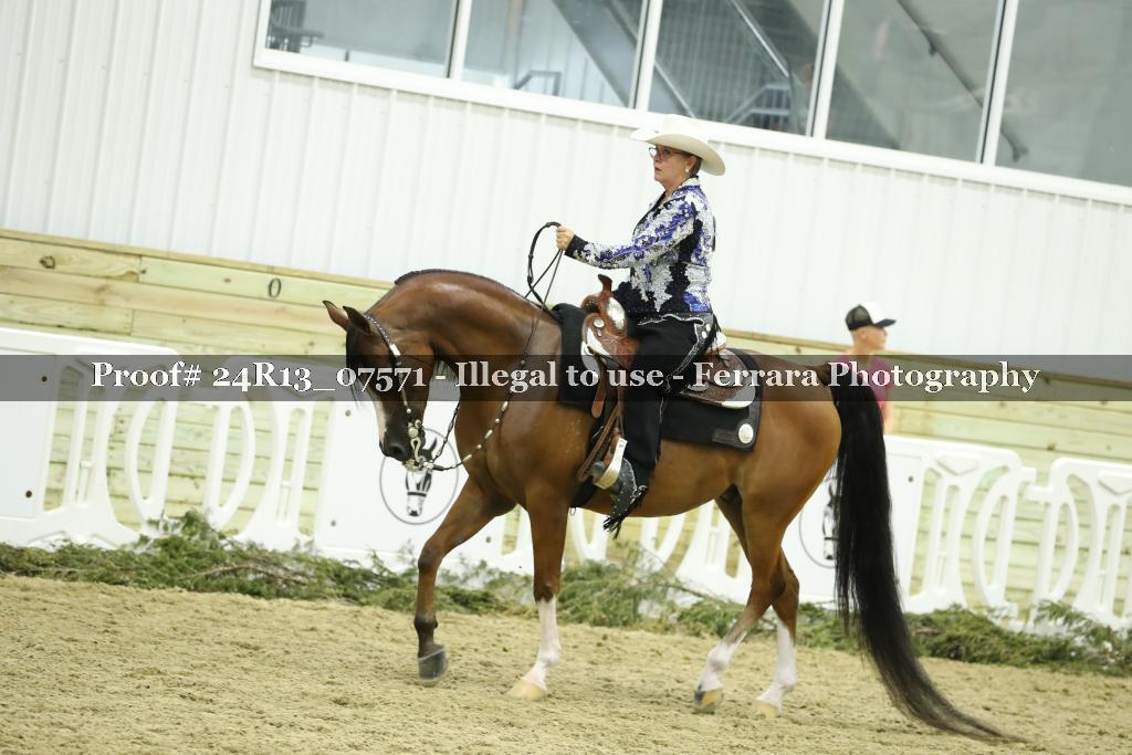 Proof 24R13_07571