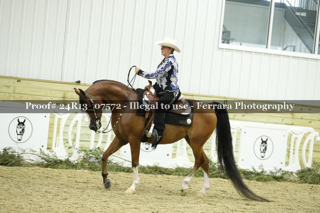 Proof 24R13_07572