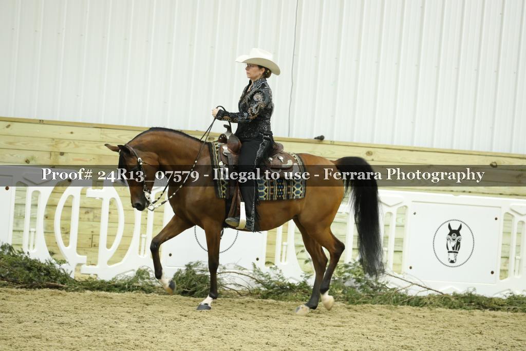 Proof 24R13_07579