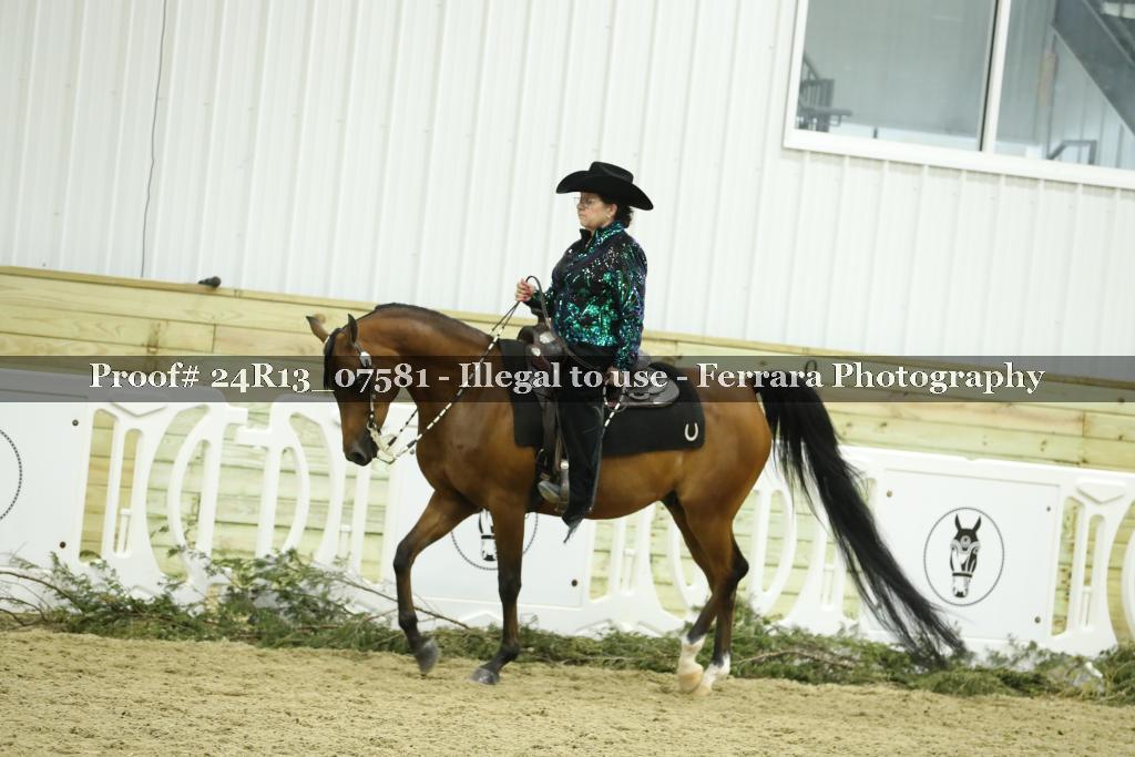 Proof 24R13_07581