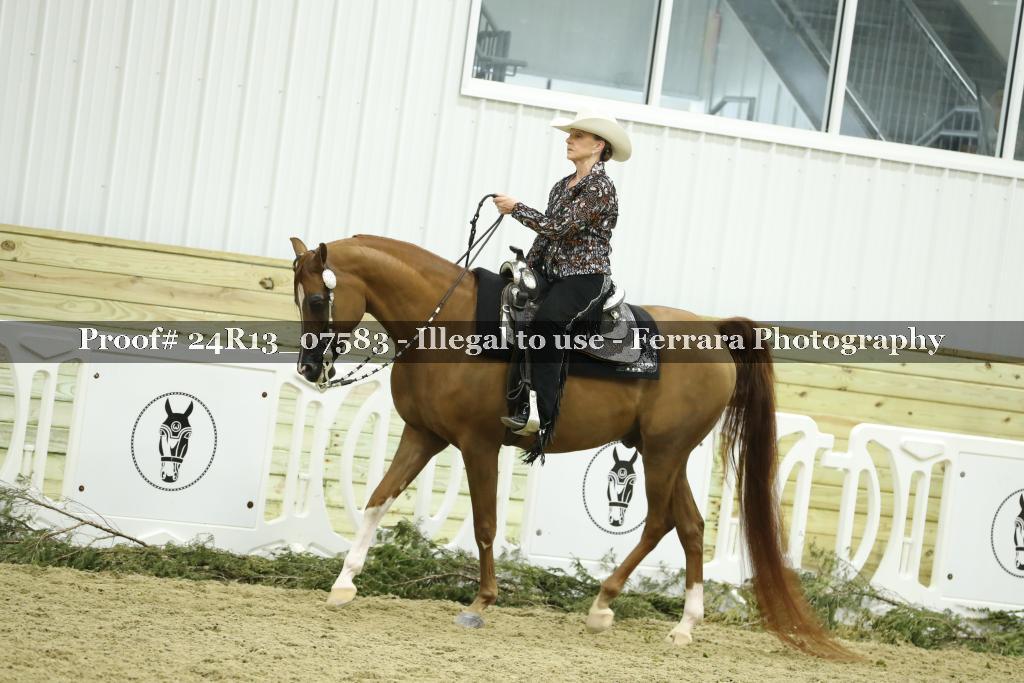 Proof 24R13_07583