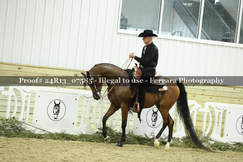 Proof 24R13_07585