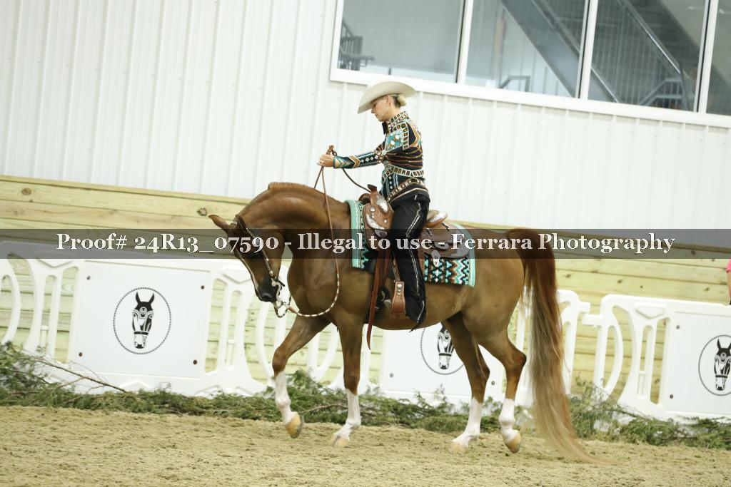 Proof 24R13_07590