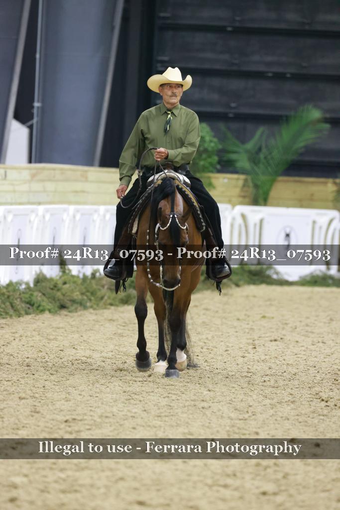 Proof 24R13_07593