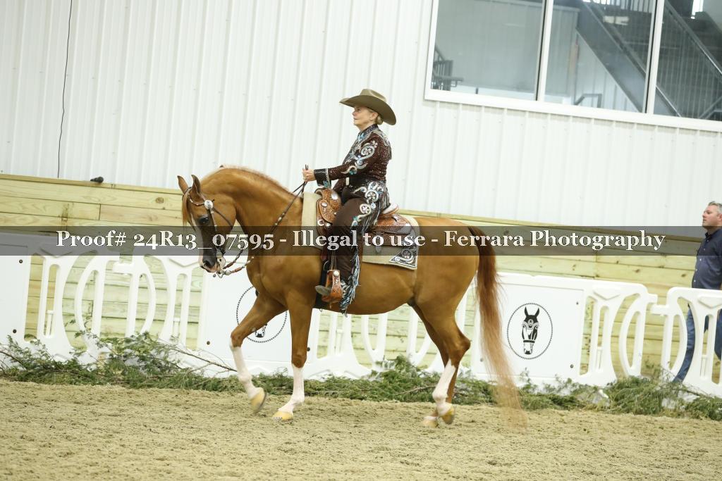 Proof 24R13_07595