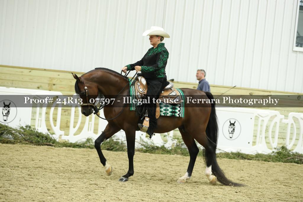 Proof 24R13_07597