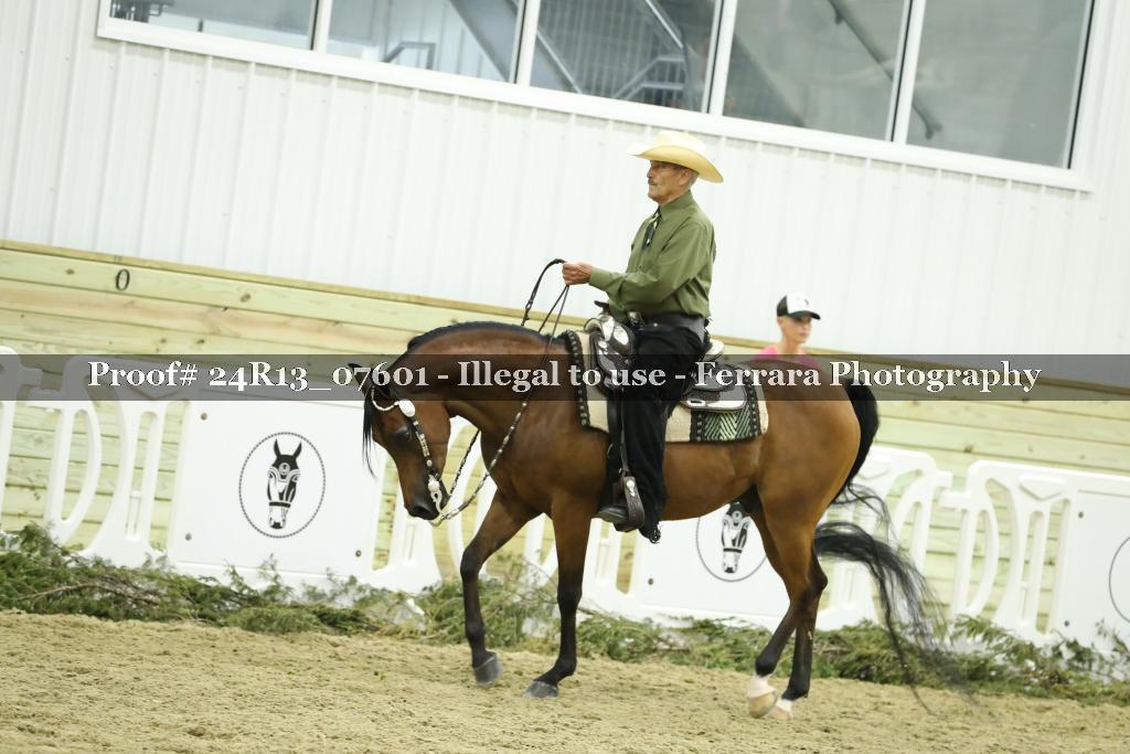 Proof 24R13_07601