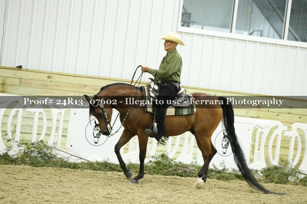 Proof 24R13_07602