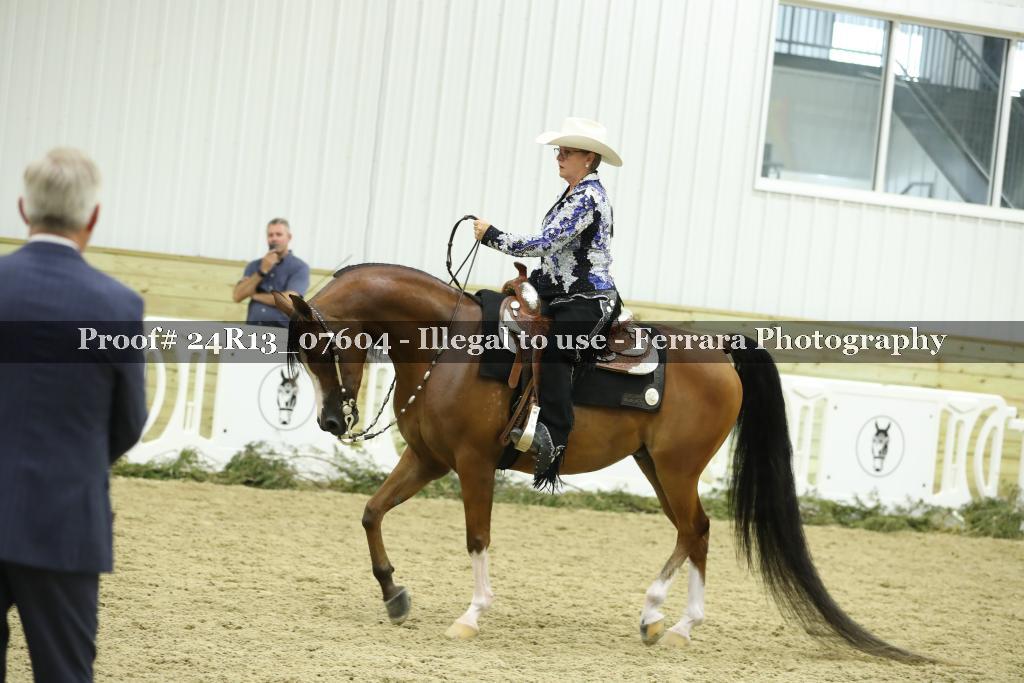 Proof 24R13_07604