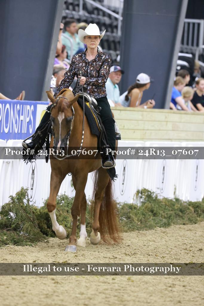 Proof 24R13_07607