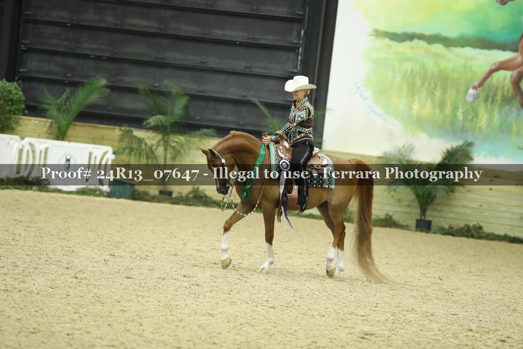 Proof 24R13_07647